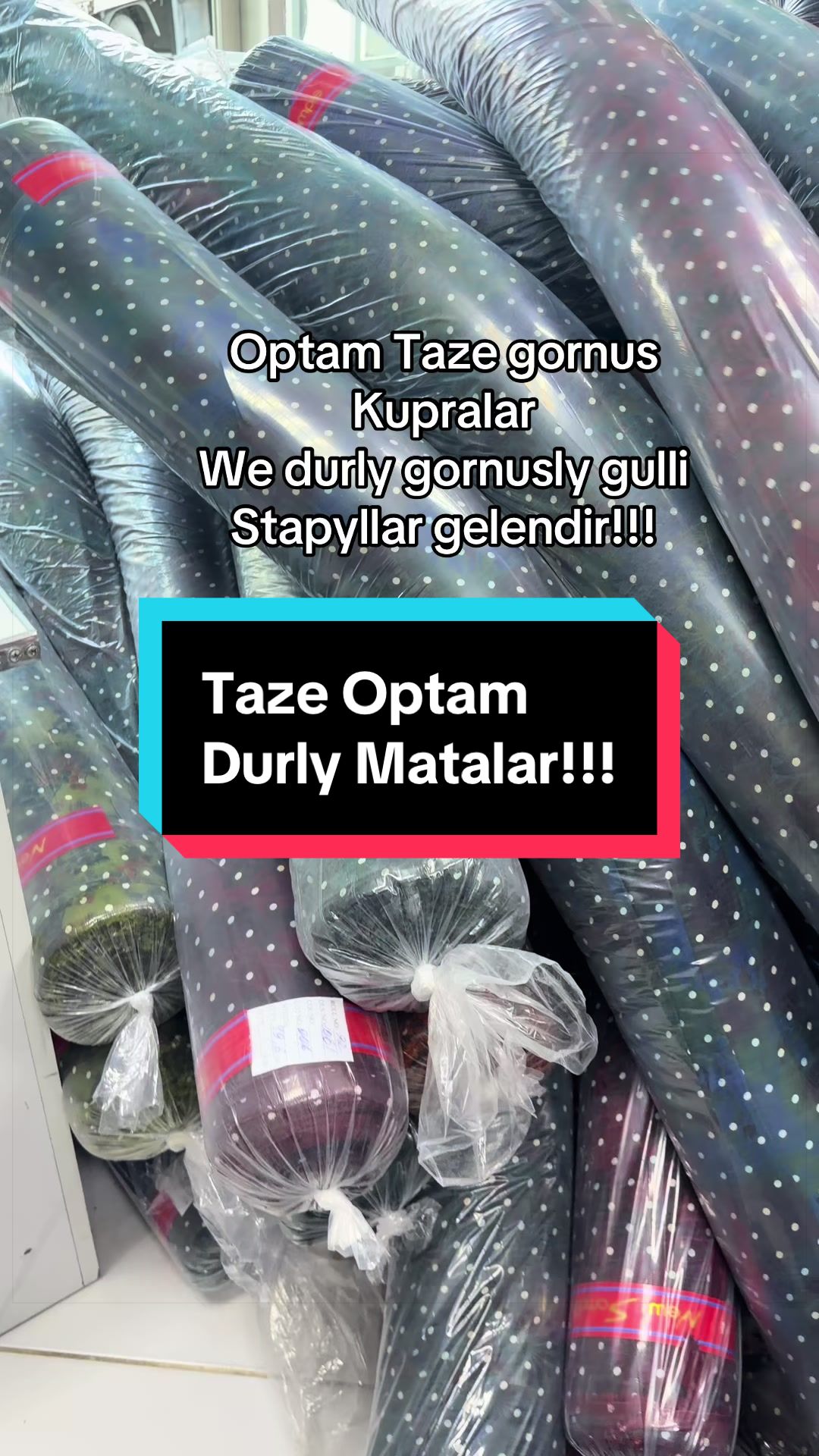 @Birinji el Optam Stapyllar1