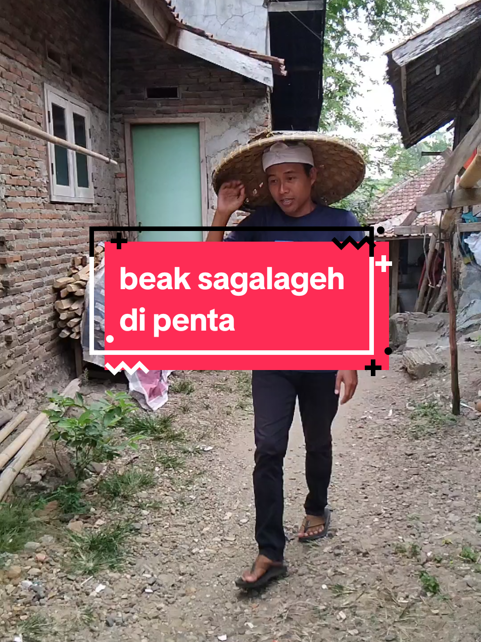 @Qy Domblang