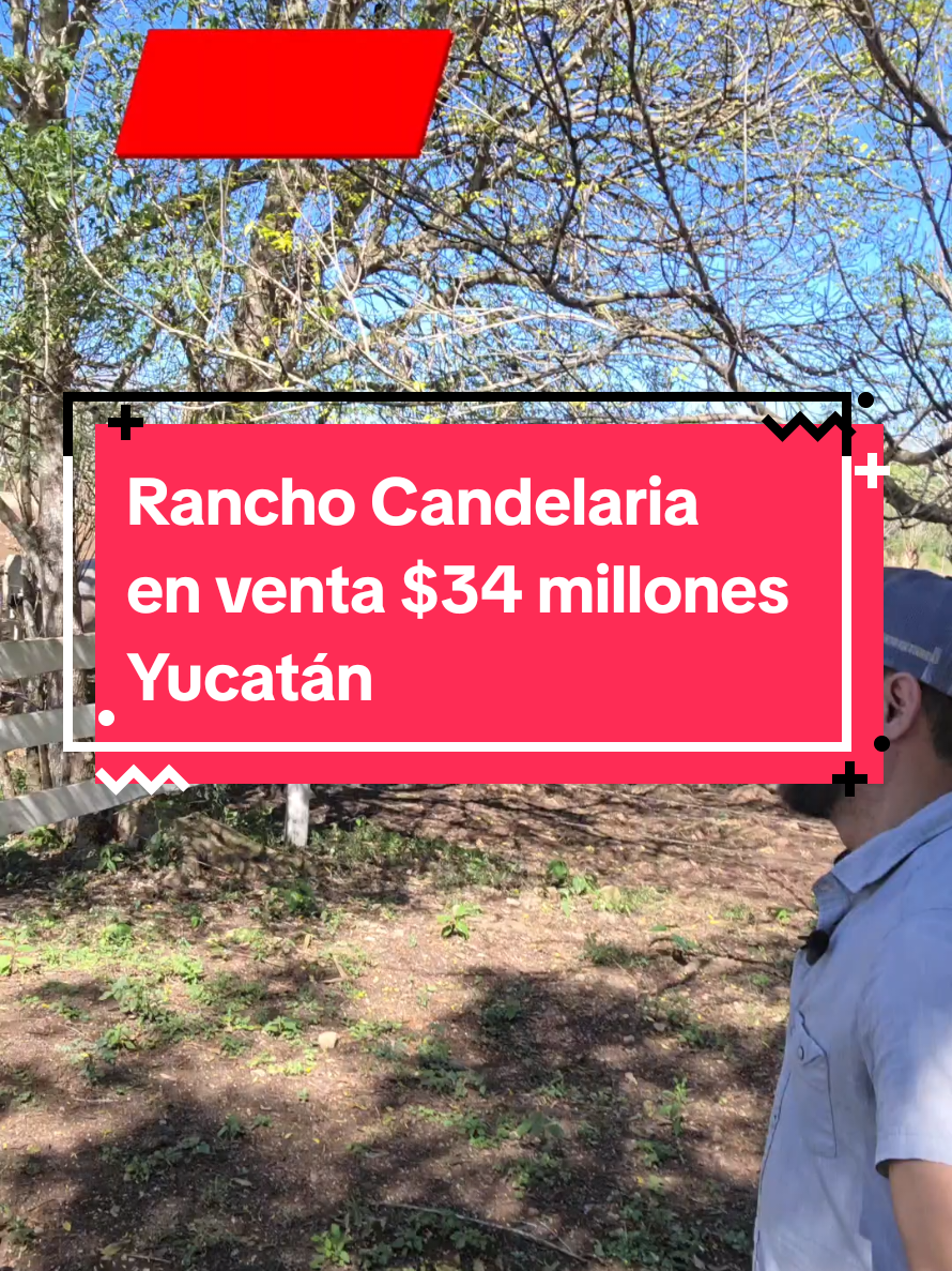 @Jose Chein - Bienes Raices