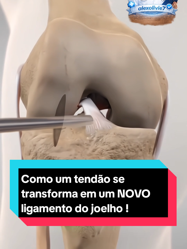 @alexolivie7