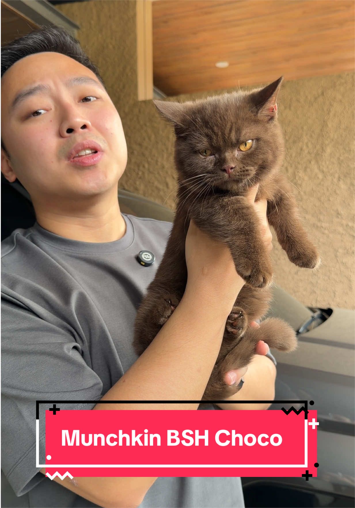 @Koko Guguk