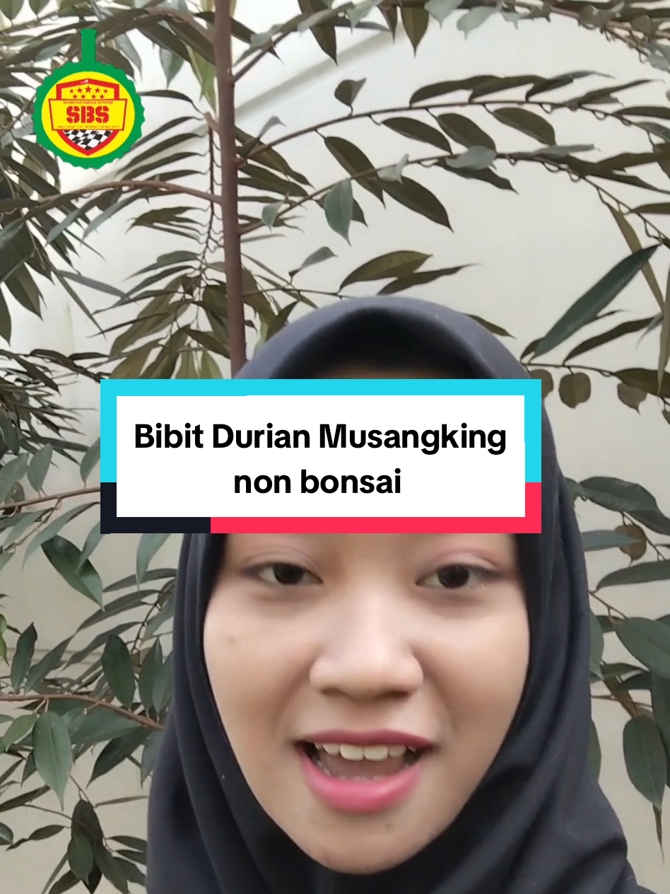 @Produksi Buah_SBS