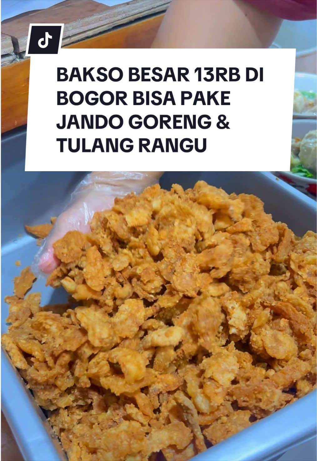 @visitbogor