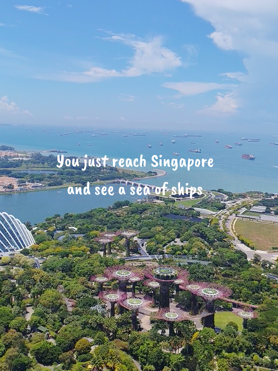 @Let's Go Tour Singapore