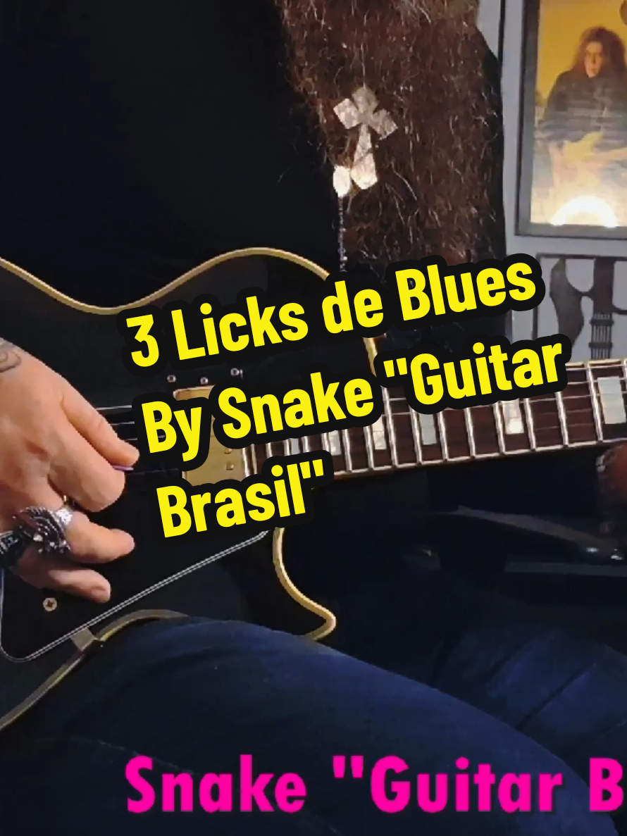@Snake Guitar Brasil