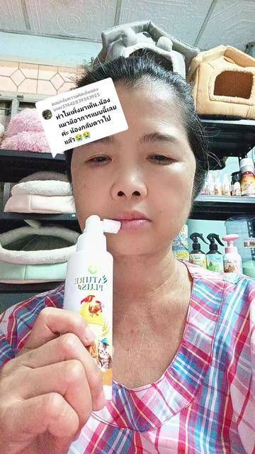 @ยุนอาร์ทาสแมว