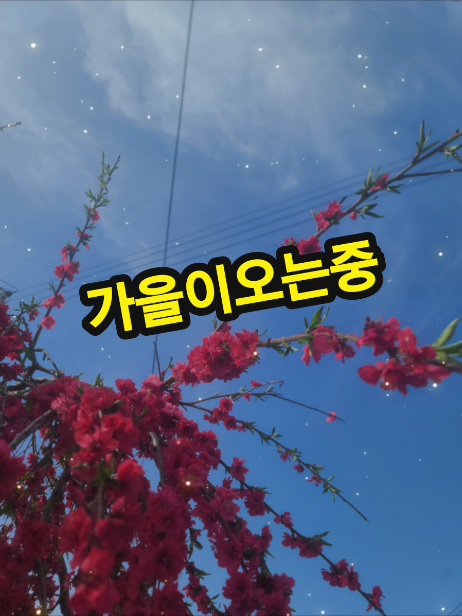 @보통남자