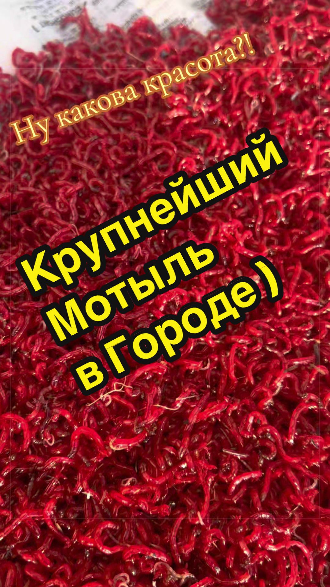 @rybalkashop