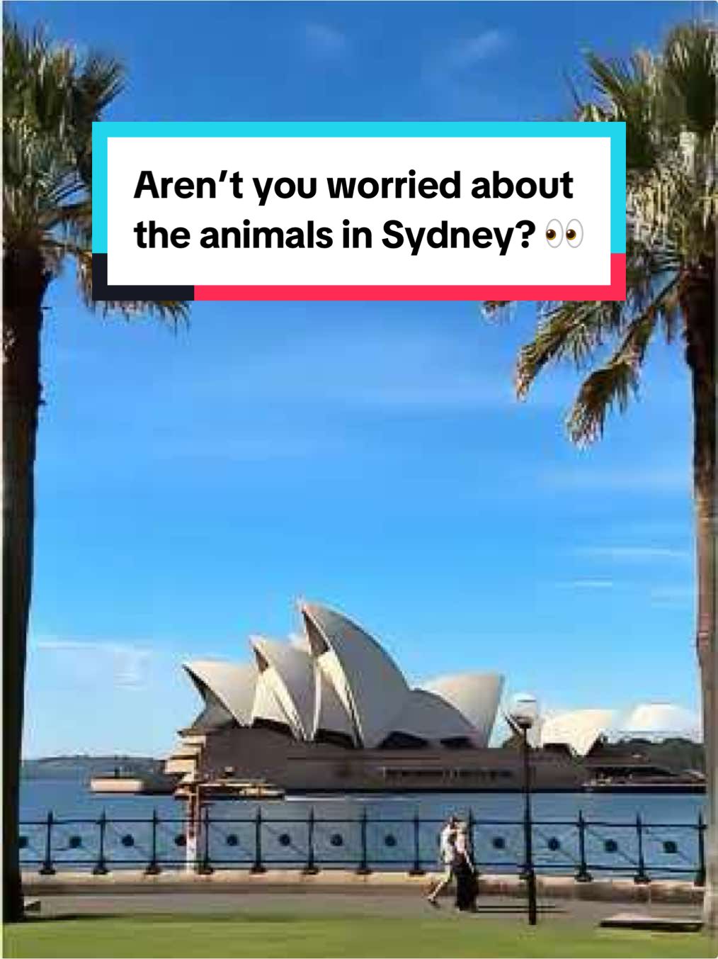 @Sydney