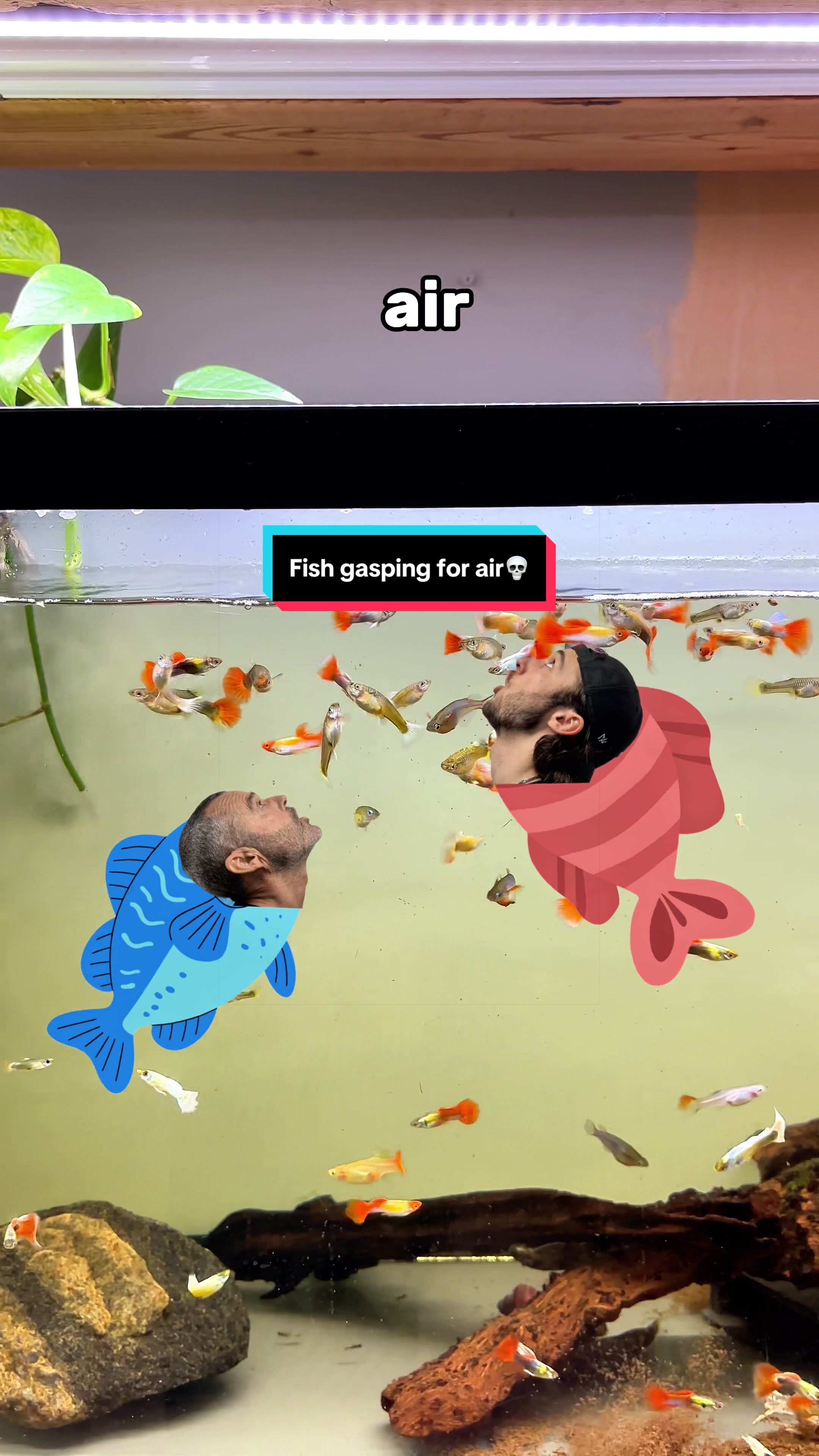 @ShrimplyTheBest