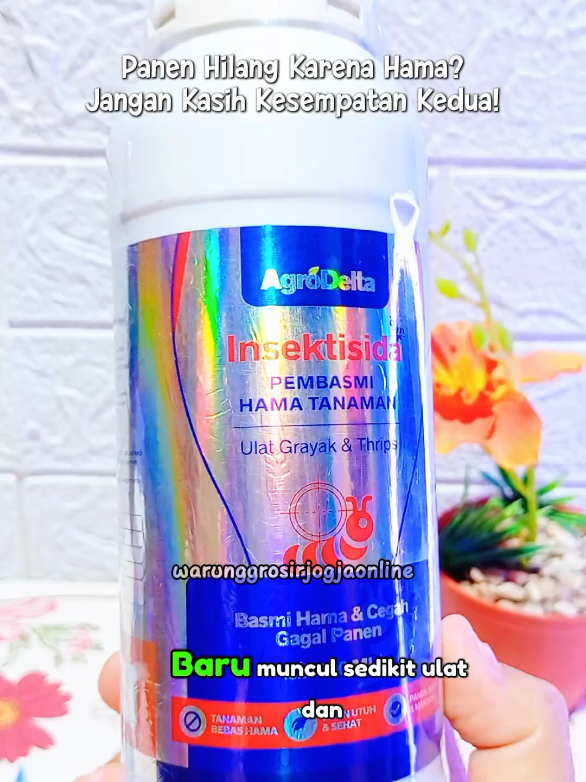 @warung grosir jogja online