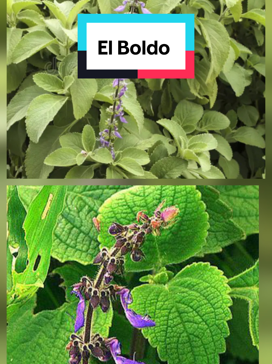 @𝐉𝐨𝐬𝐲