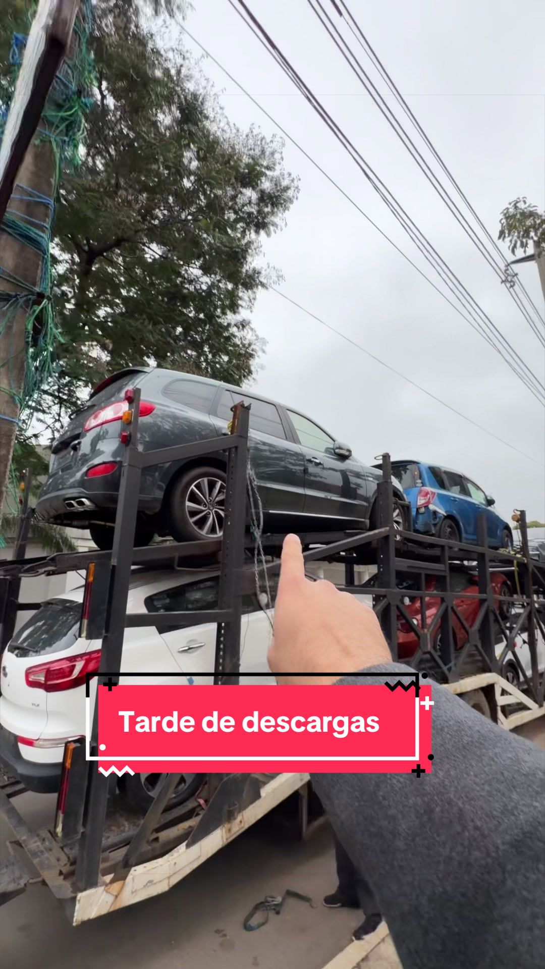 @telotraigopy