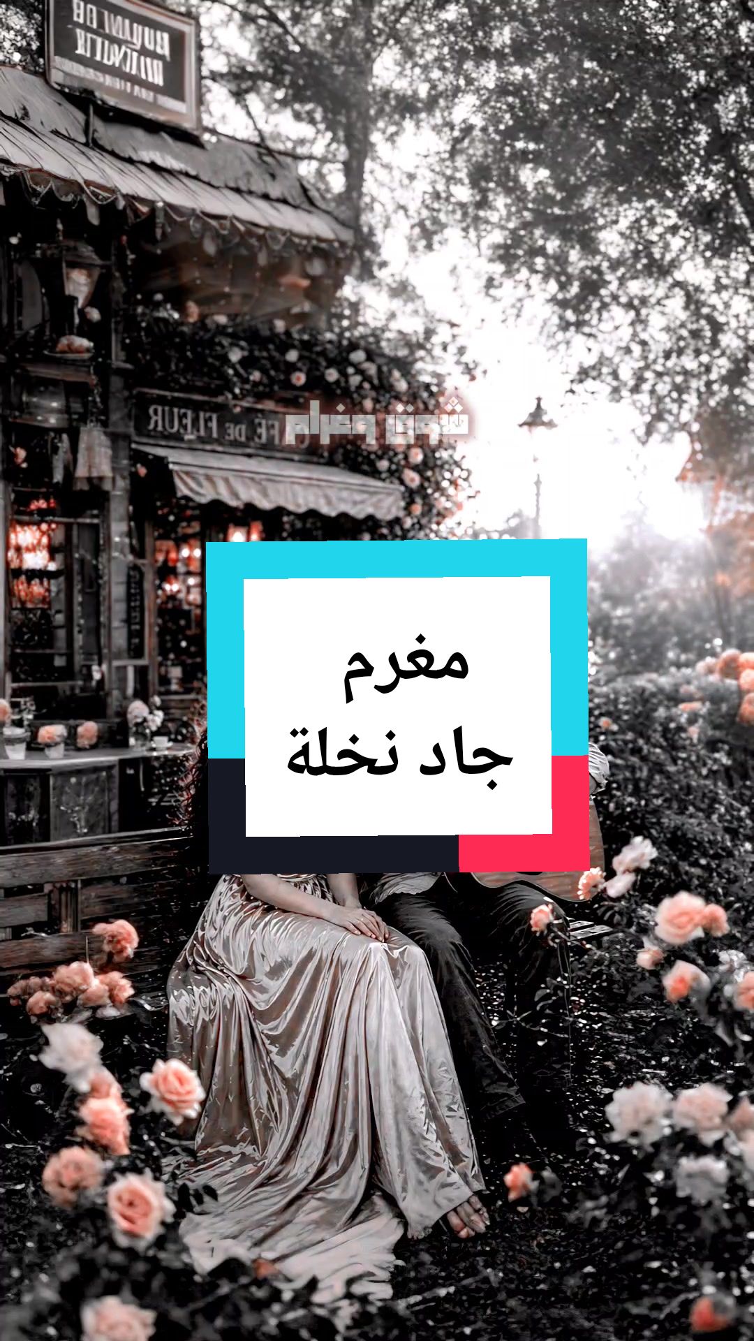 @المصمم لايت سو