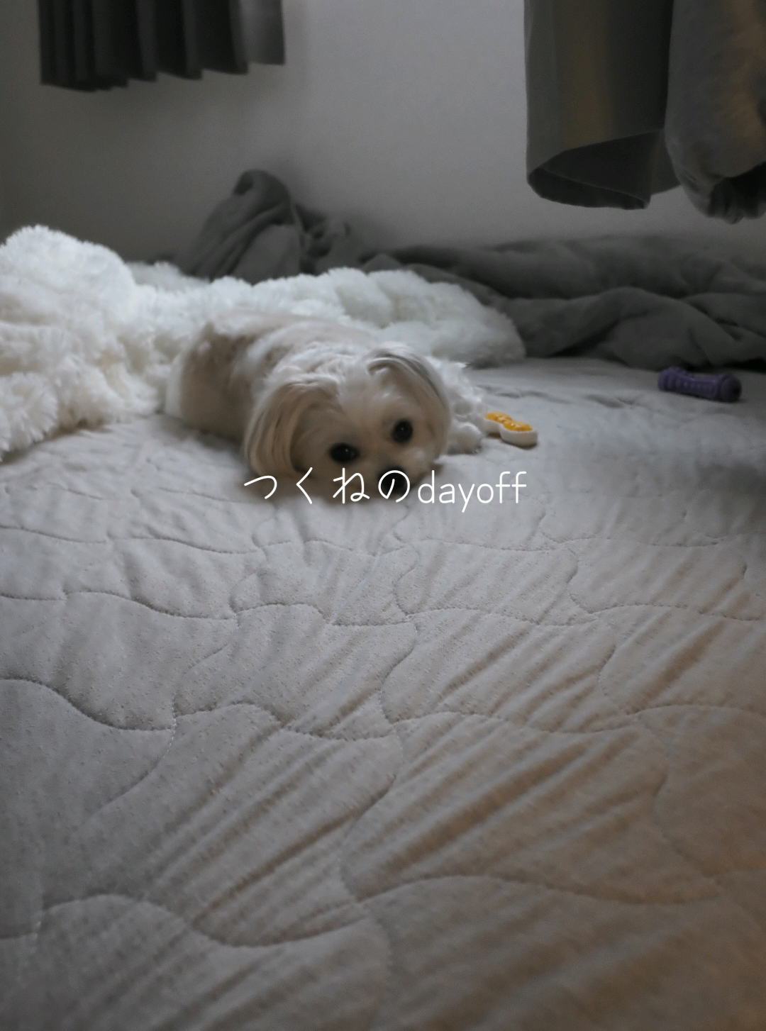 @つくねくん