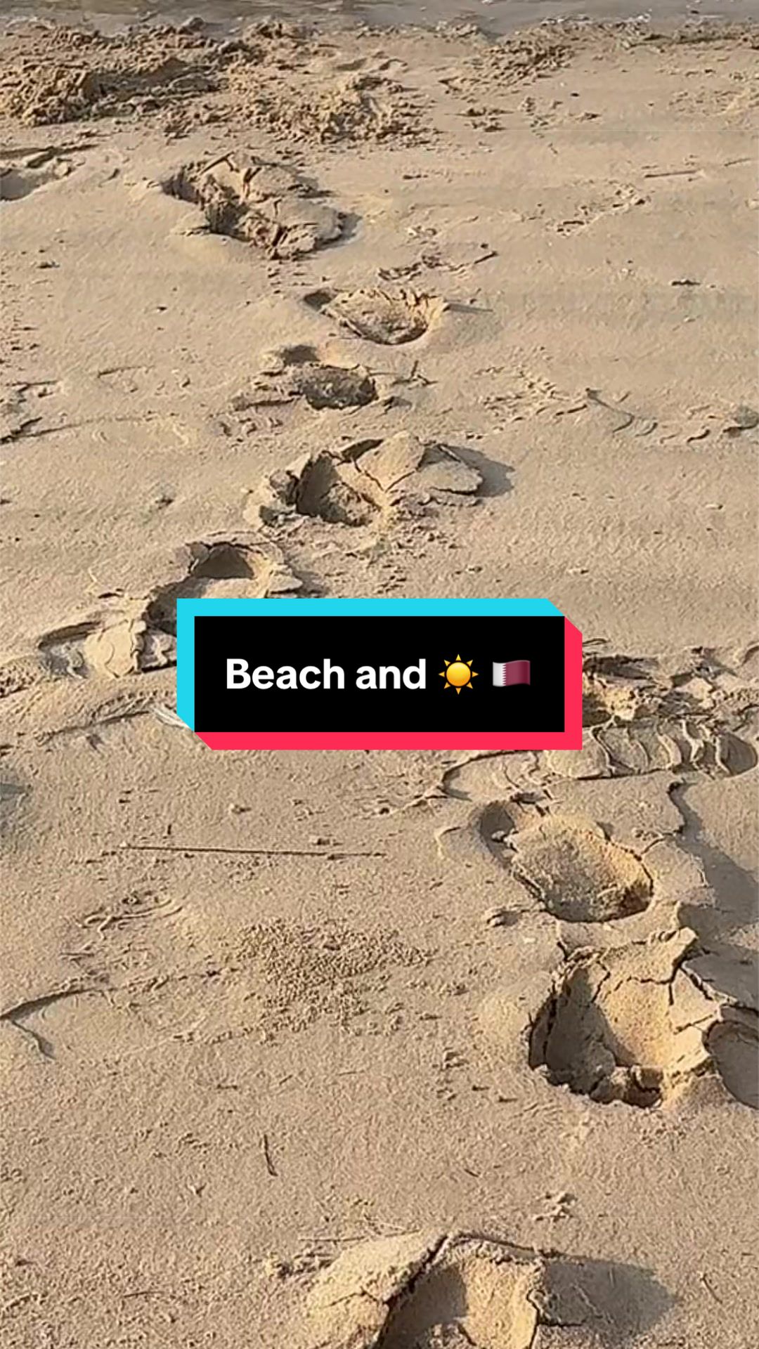 @MirouTcha🐺🪽
