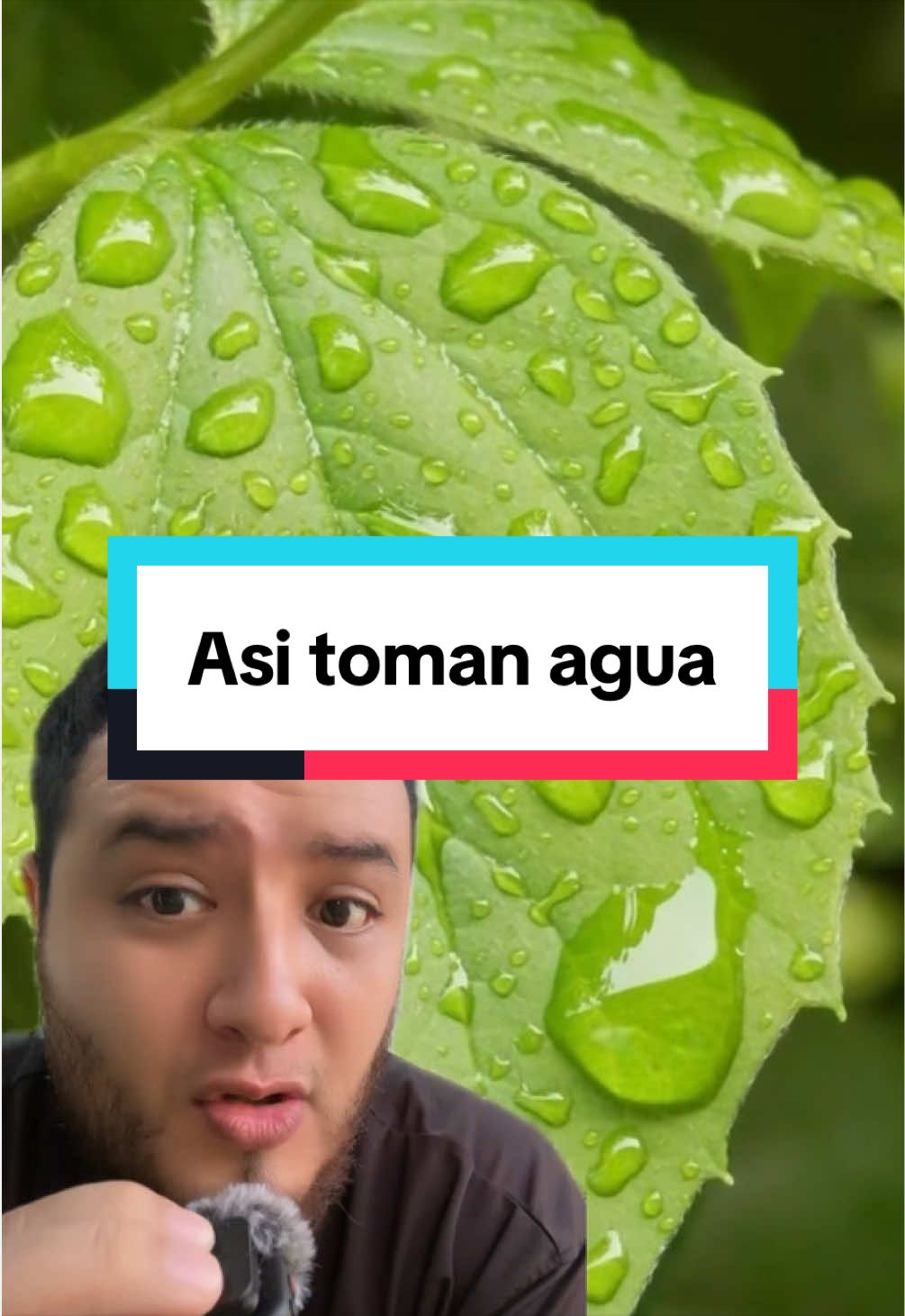 @ReptilMania