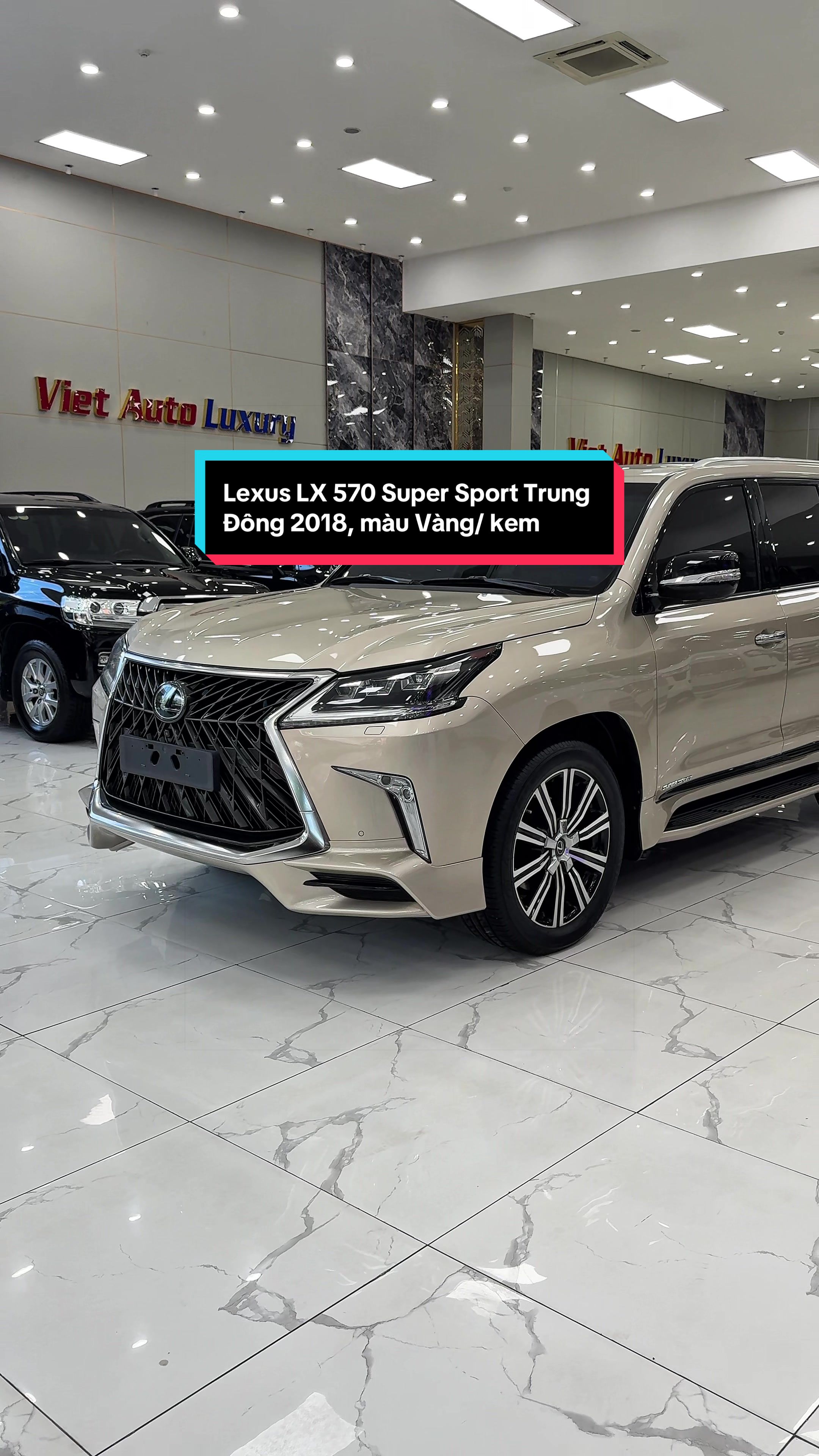 @Chuy&ecirc;n Xe Sang
