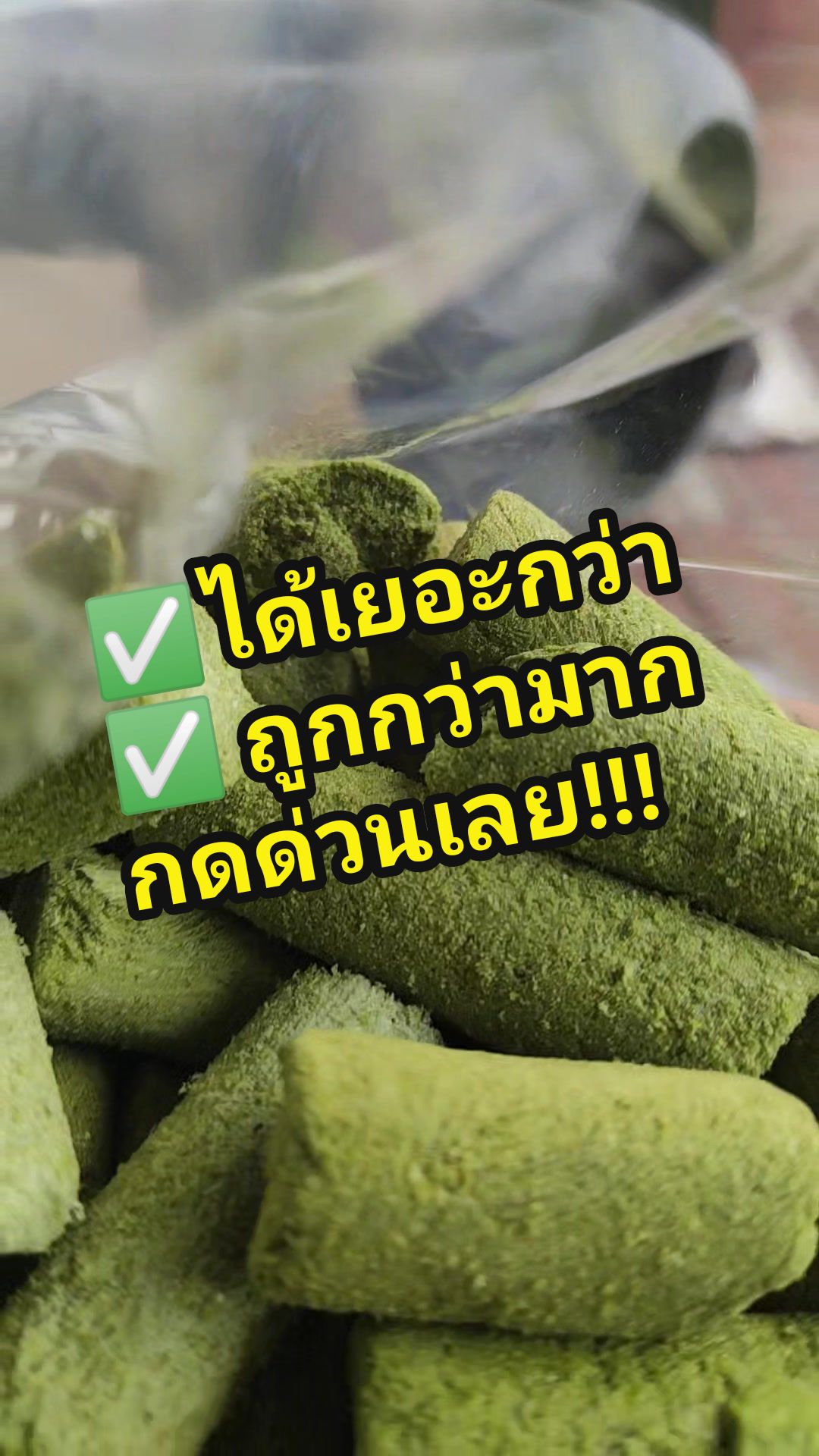 @ใหม่ทาสแมว (ช่องหลัก)