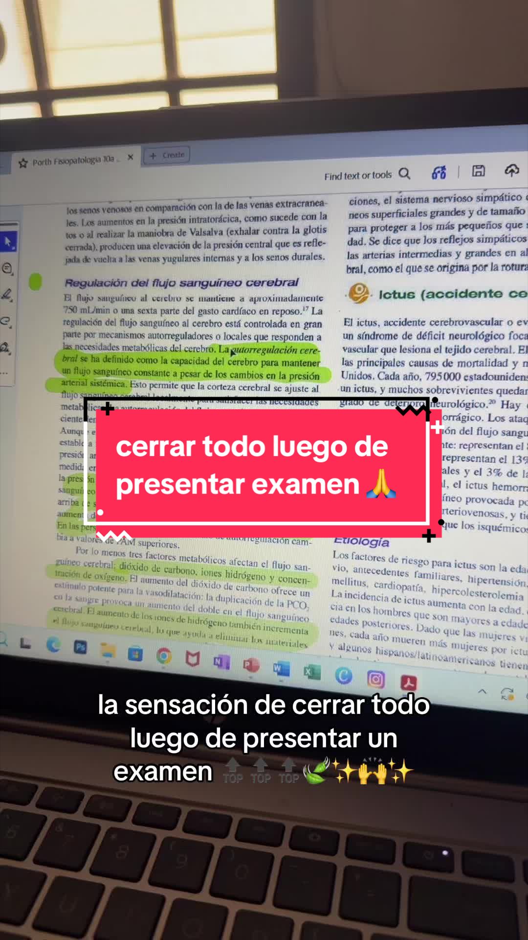 @Alexandra Stehlik