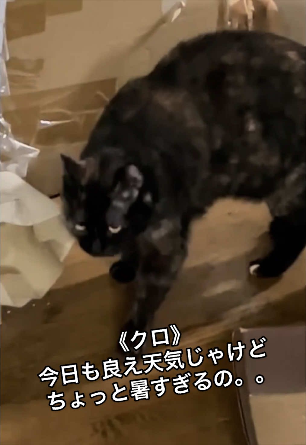 @聴々物語PROJECT