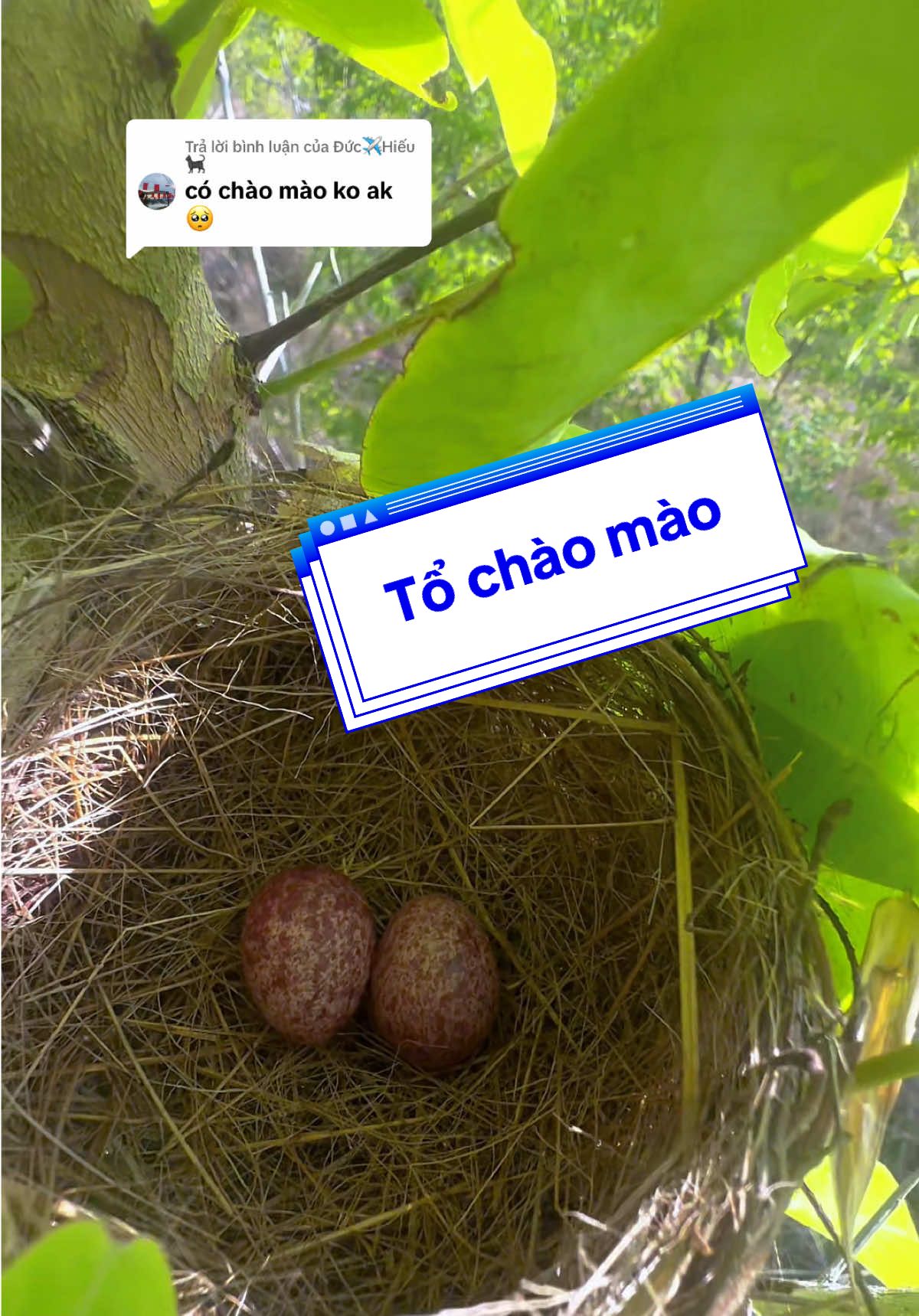 @C&C Miền N&uacute;i ⛰️