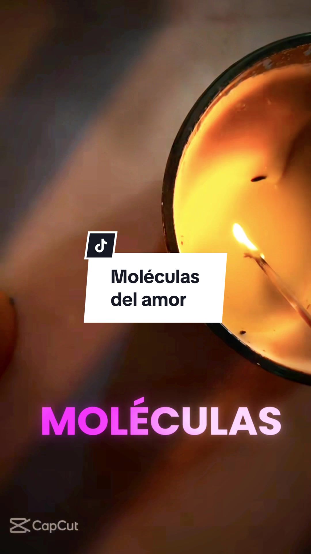 @metaimpulsotips