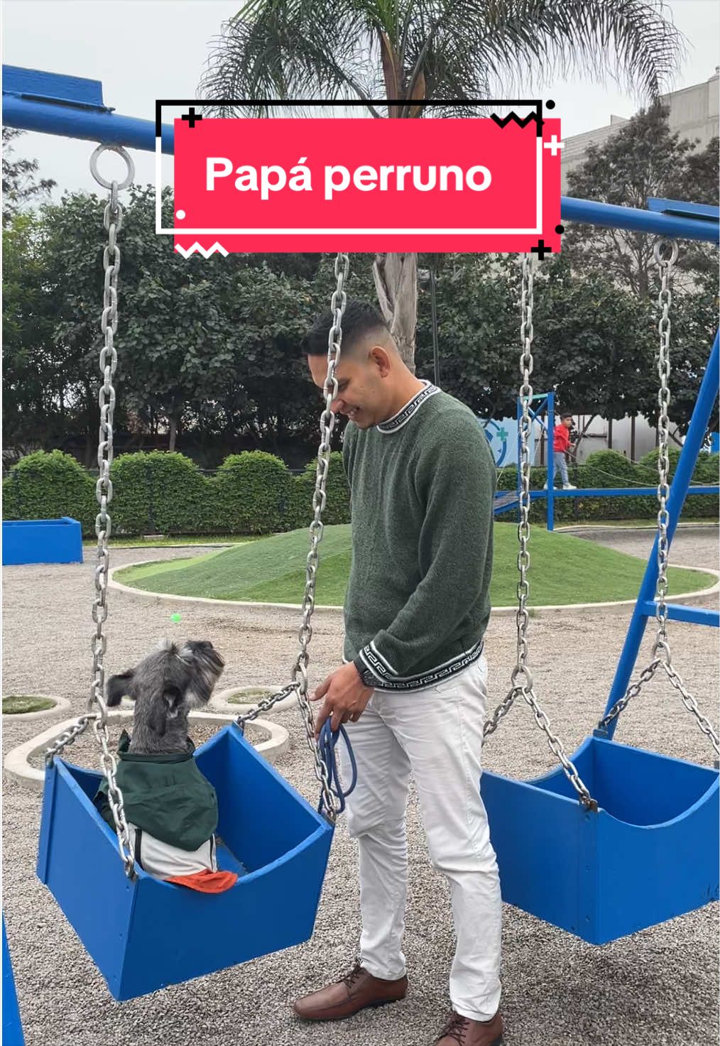 @lukah_schnauzer