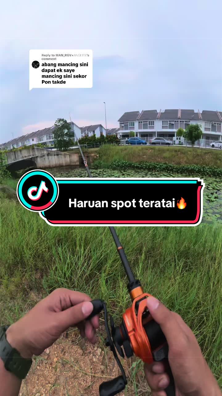 @adicasta1st