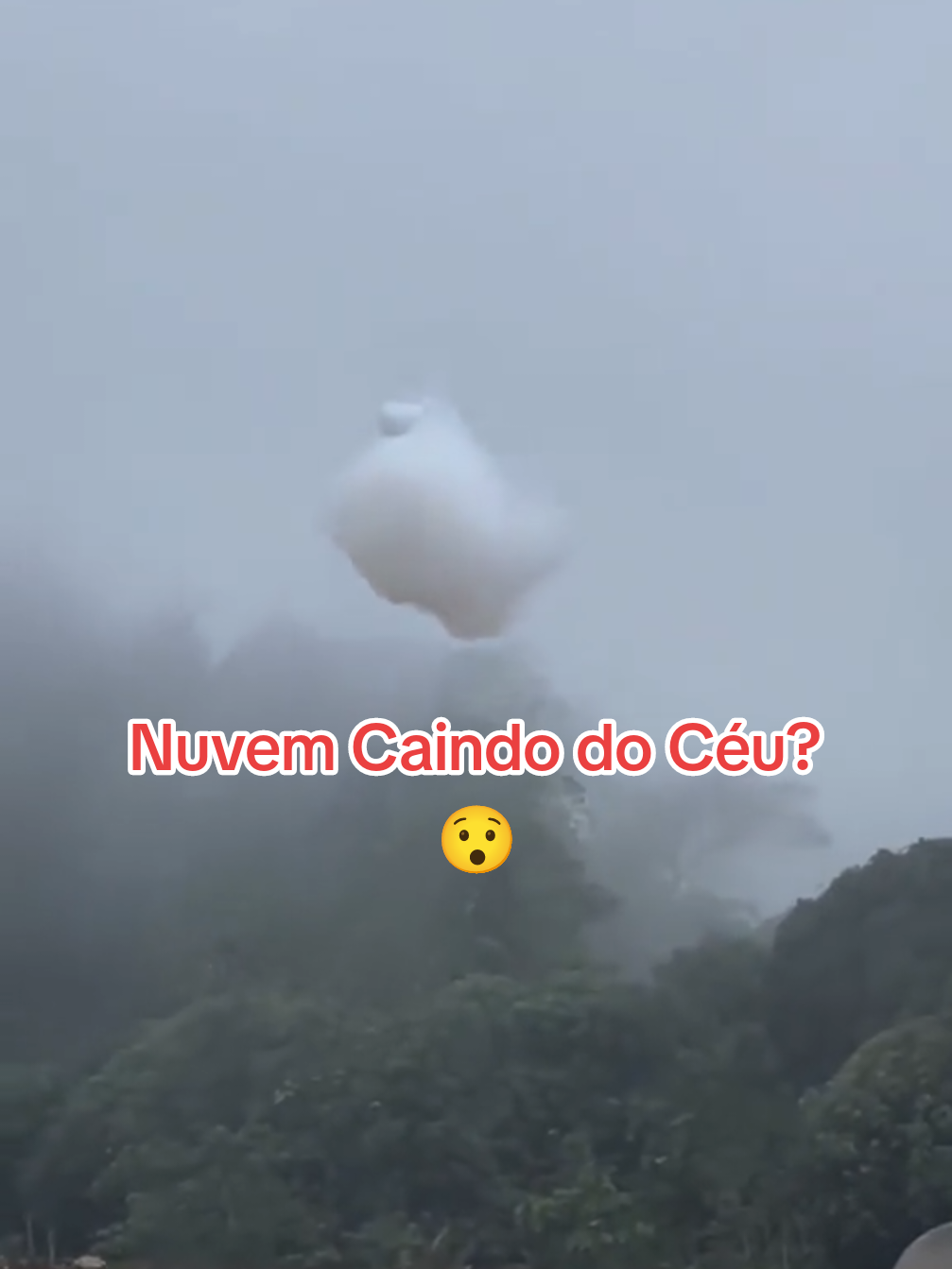 @cortesdiversos