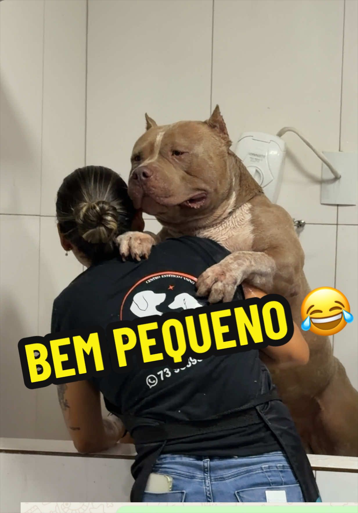 @Família Ragnar 🐶