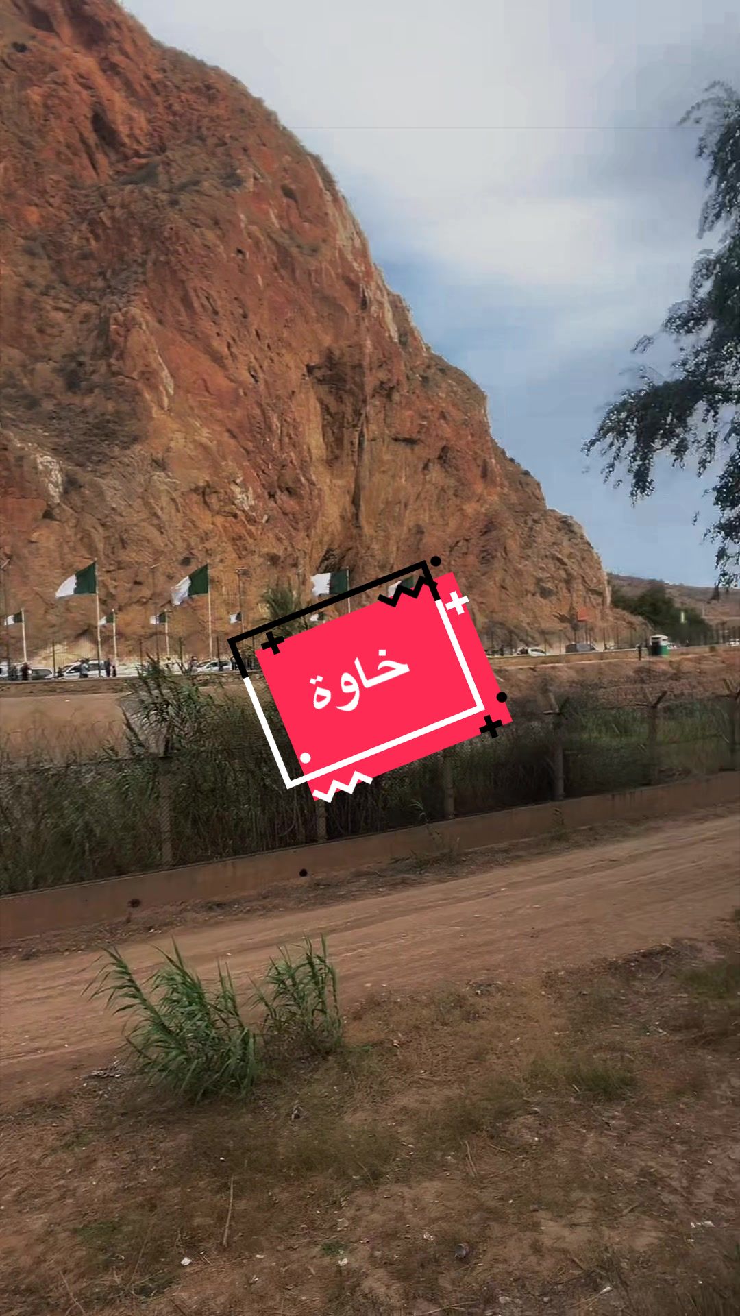 @🦁TI🎶O🇲🇦R🎵y🎙️