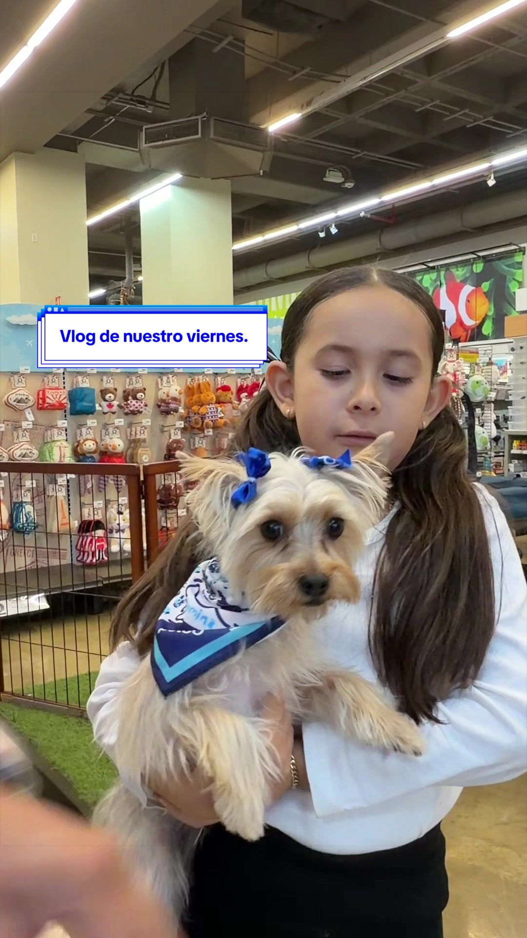@Stephania Carbajal