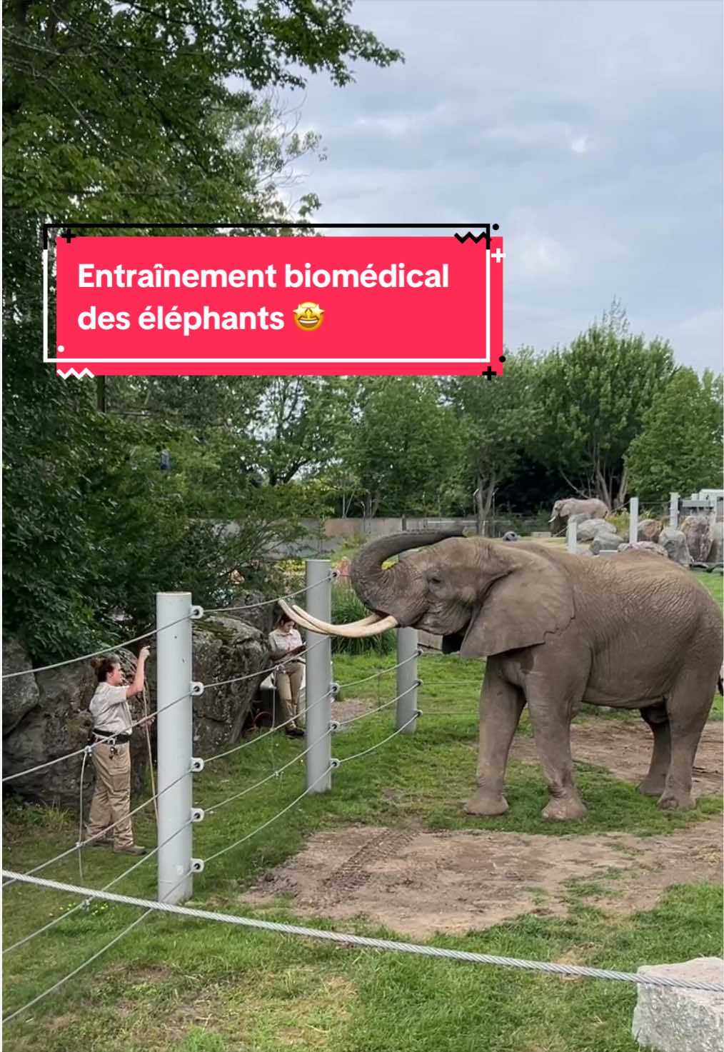 @Zoo de Granby