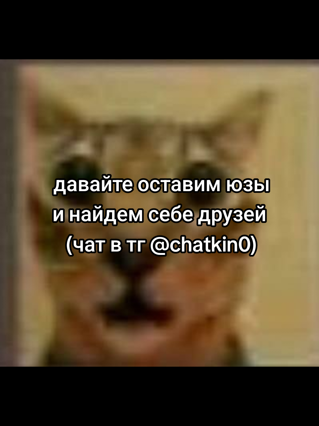 @cqtagger