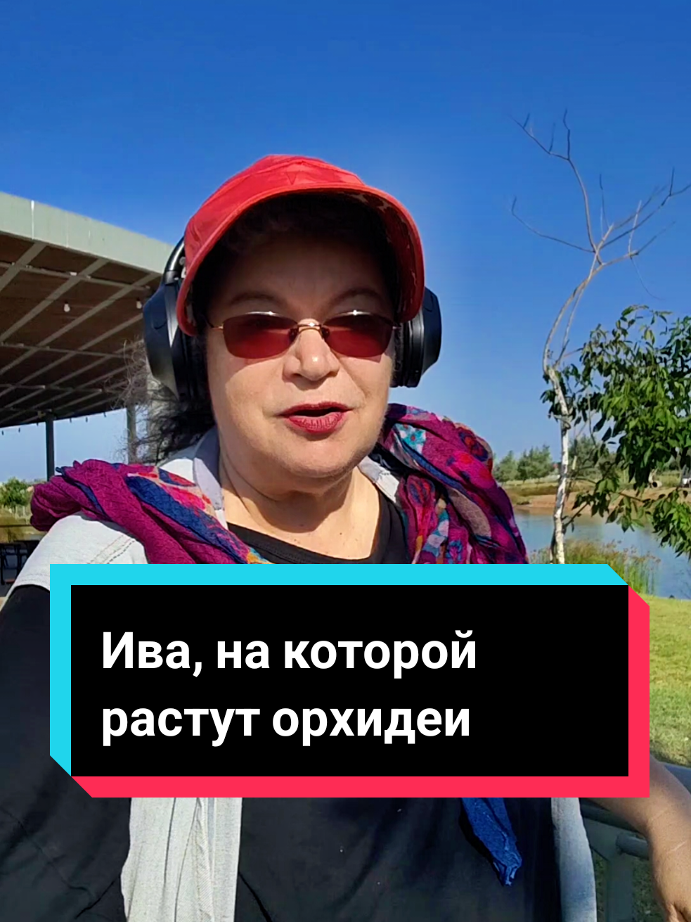 @Кируля Аскалонская