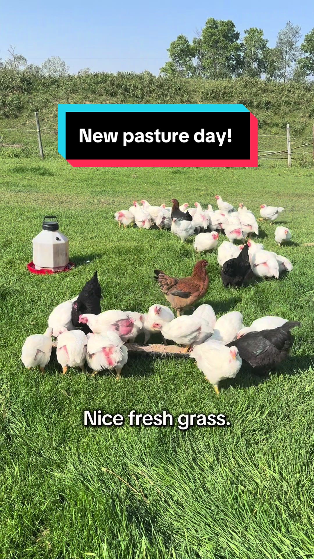 @FarmGirlRenee