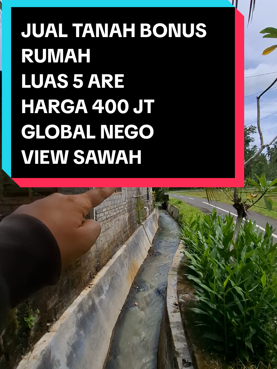@Balinese Broker Bali