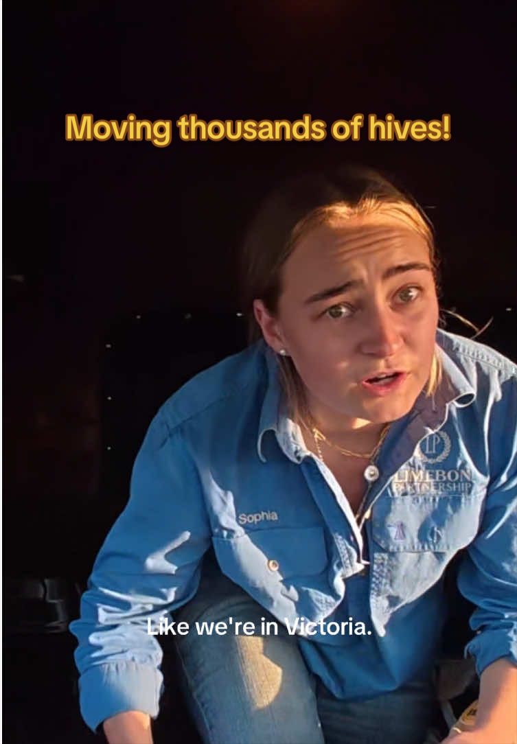 @phiasbees