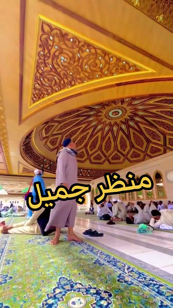 @سعود من المدينة المنورة 🛑
