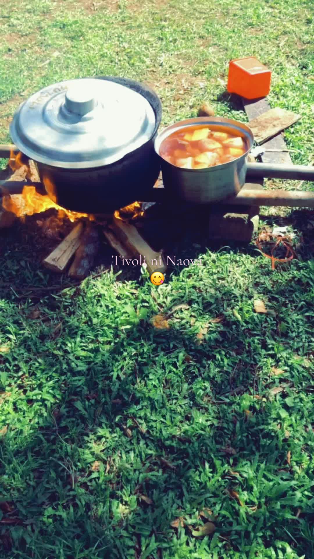 @Ob.tamanii