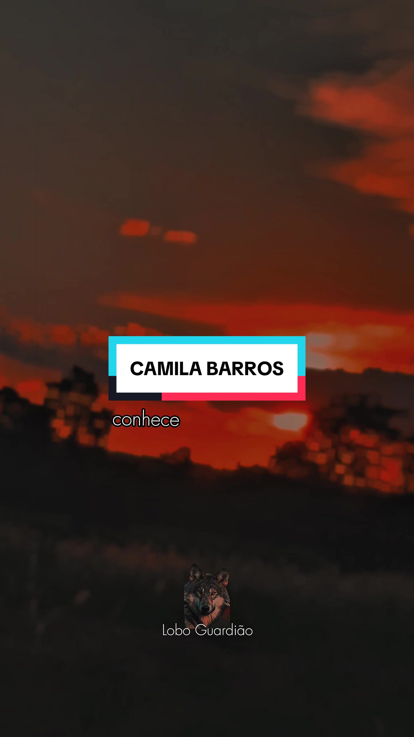 @loboguardiao30