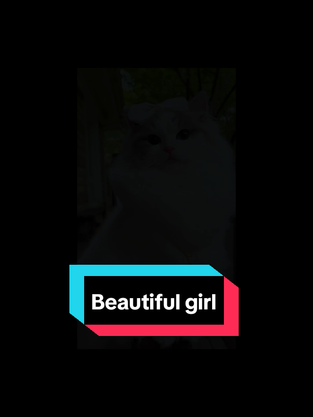 @MeowMagic