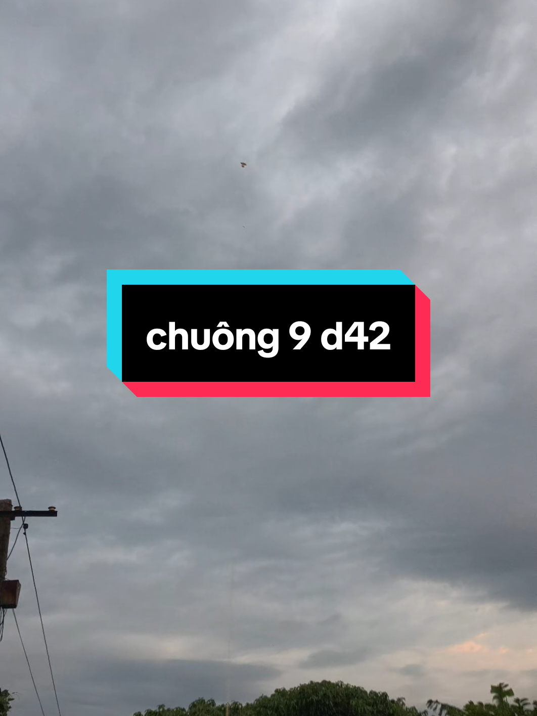 @Sáo Diều Huân Nguyễn