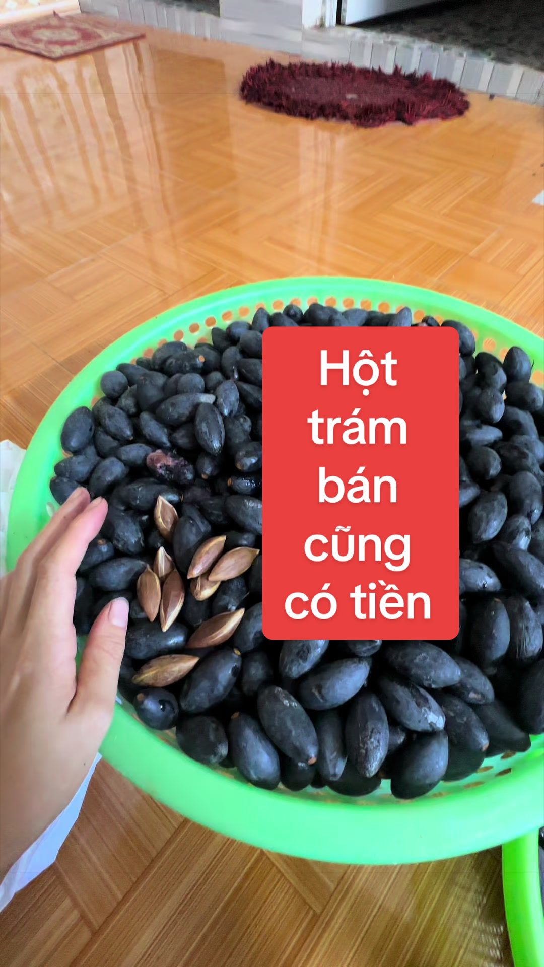 @Nhà Vườn Vũ Mai