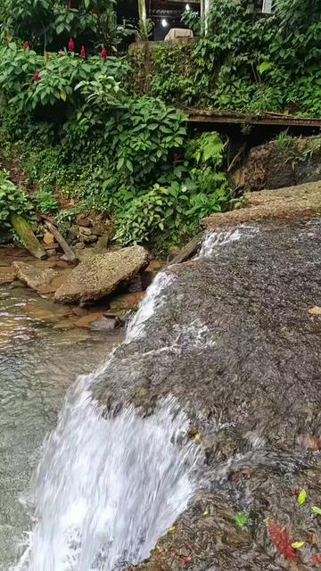 @&Egrave;s&Igrave;n &Ograve;r&Igrave;s&agrave; IBIL&Eacute;