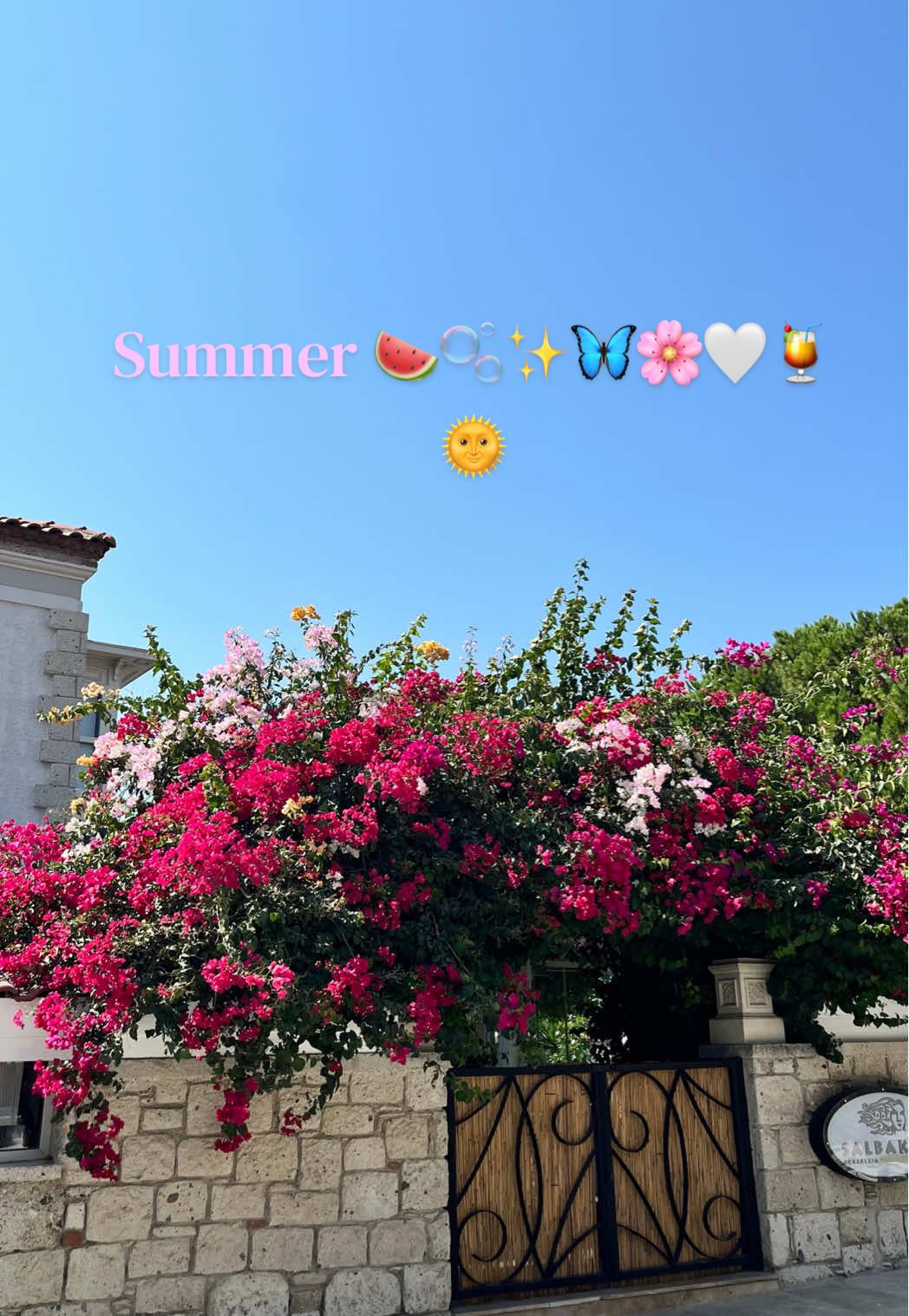 @ismisss777777