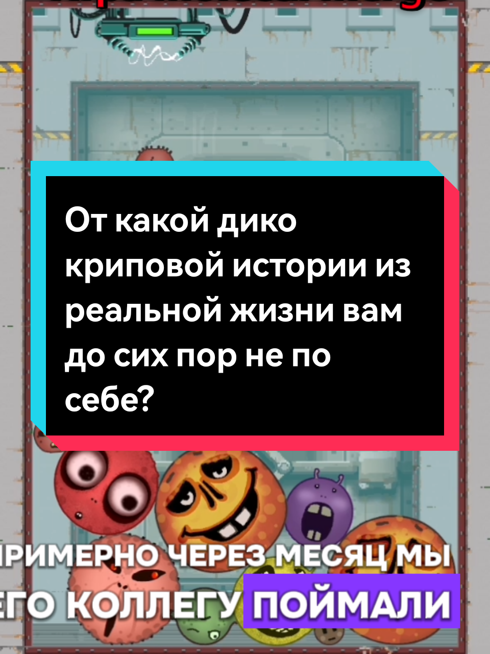 @loli