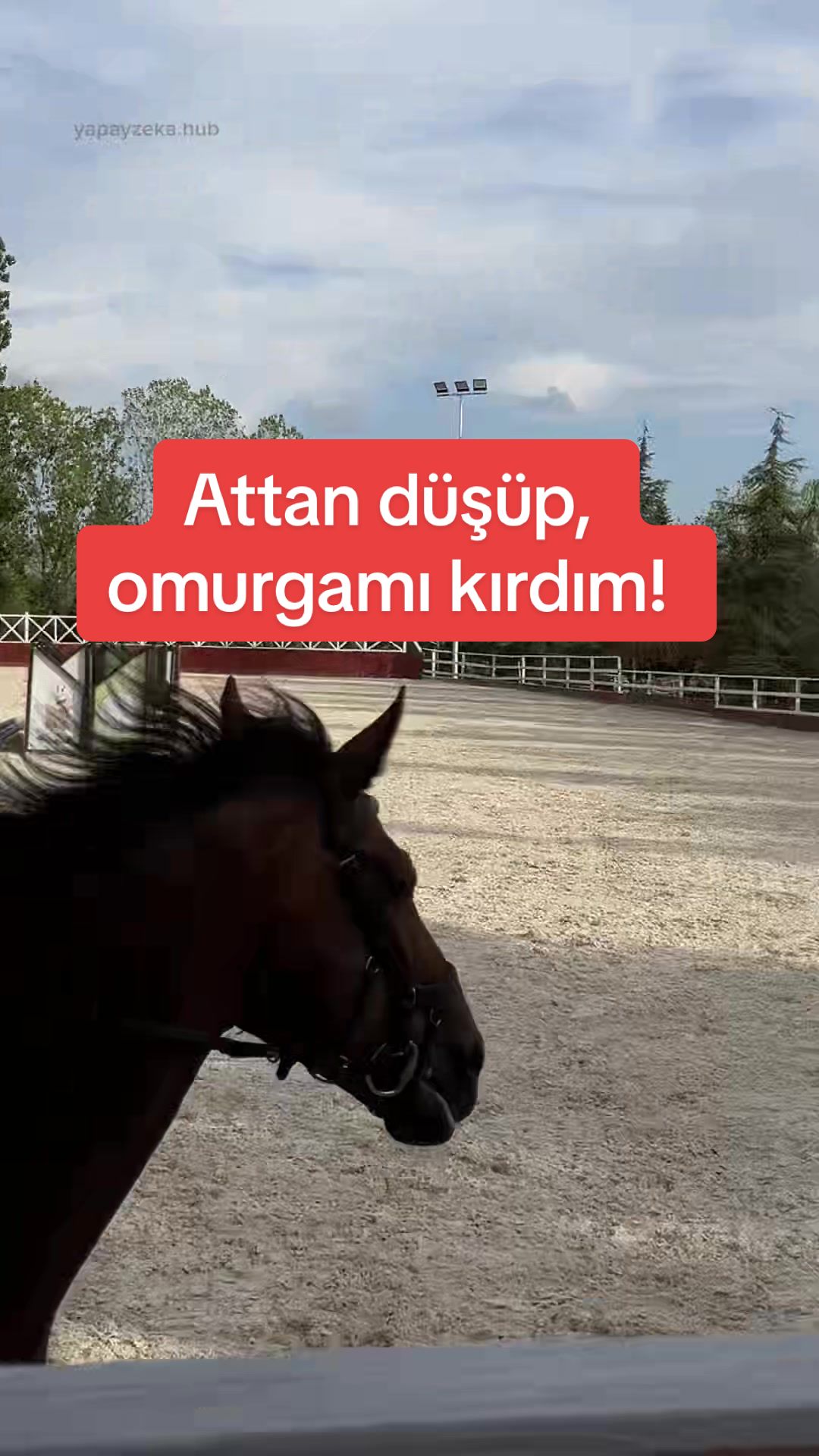 @Yapay Zeka ile Para Kazan