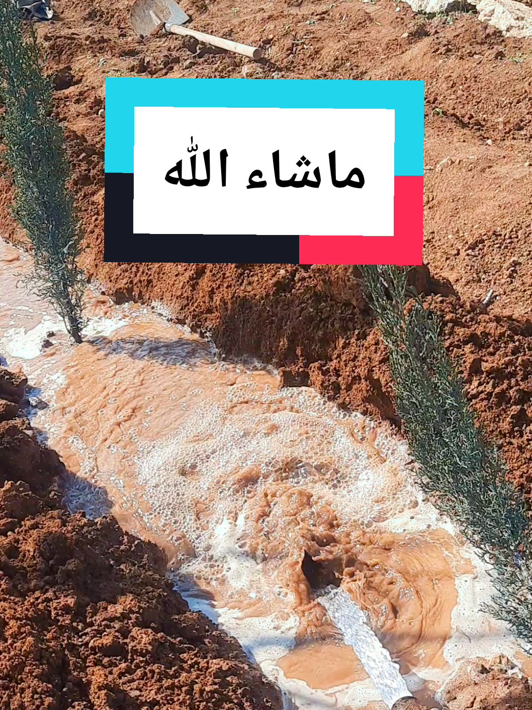 @Khaled.doba